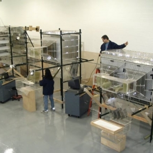 Photo of Airflow Sciences