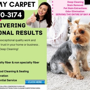 Photo of Clean My Carpet