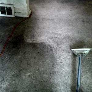 Photo of D-Lux Carpet Cleaning