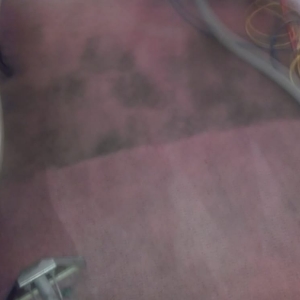 Photo of D-Lux Carpet Cleaning