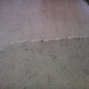 Photo of D-Lux Carpet Cleaning