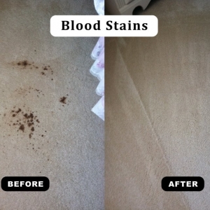 Photo of Advanced Carpet Restoration