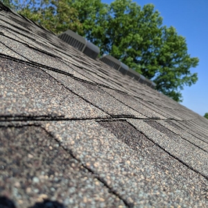 Photo of Rescue Roofers