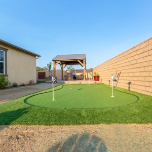 Photo of Coronado Best Turf