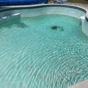 Photo of GL Pools