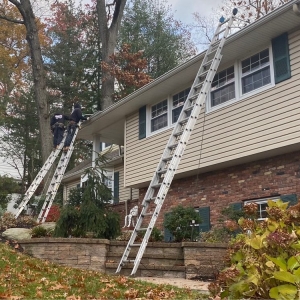 Paterson Muller Gutters