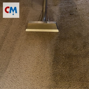 Photo of CM Carpet Care