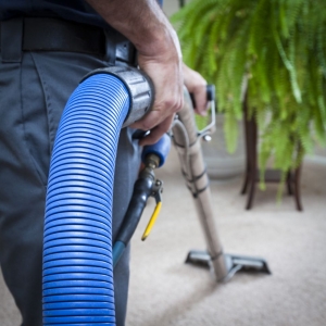Photo of CM Carpet Care