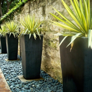 Austin BLUE Renovation & Landscape