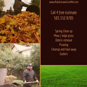 Photo of Rubio's Lawn Care NW