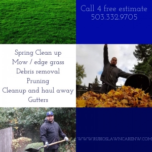 Photo of Rubio's Lawn Care NW