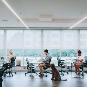 Photo of University CoWork