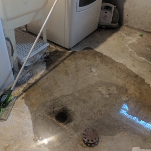 Photo of Gillece Services