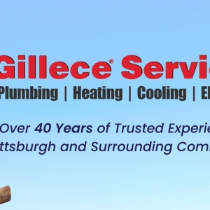Photo of Gillece Services