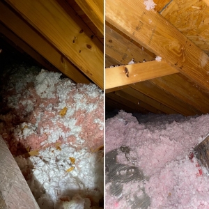 Photo of Tri Star Professional Insulation