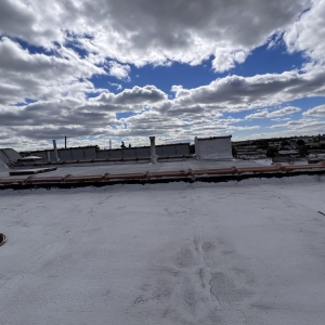 Queens U.S. Eagles Roofing