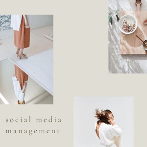 Photo of Theorie Consulting