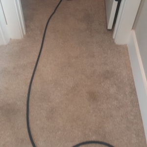 Photo of Executive Clean