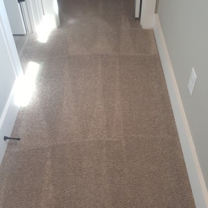 Photo of Executive Clean