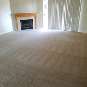 Photo of Steem Cleaning