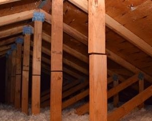 Photo of Stable Struct