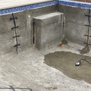 Photo of Danna Pools