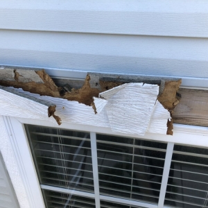 Photo of Superior Handyman Service