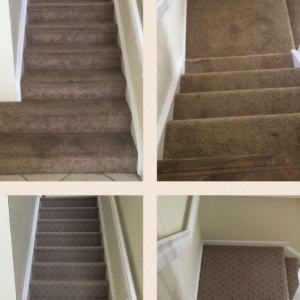 Photo of Carpet Cleaning Deluxe of Miami