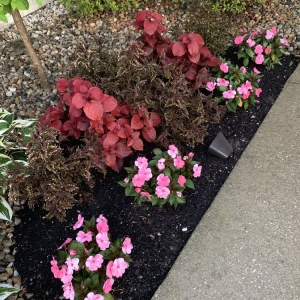Belleville Dawn To Dusk Landscaping