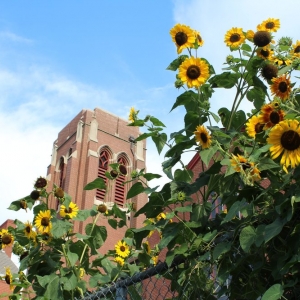 Photo of Pittsburgh Mennonite Church