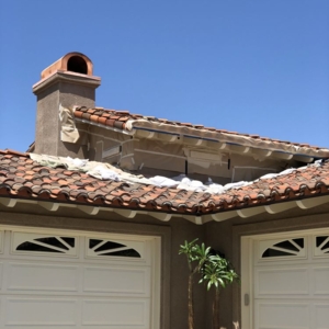 Photo of Dnuevo Design