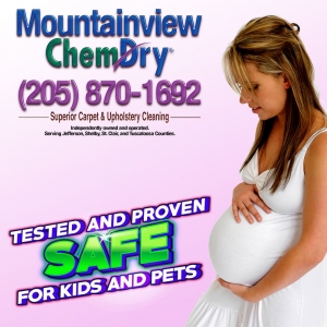 Photo of Mountainview Chem-Dry