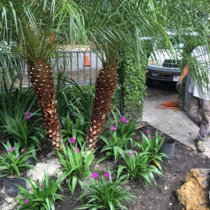 Photo of Evergreen Sprinkler Systems