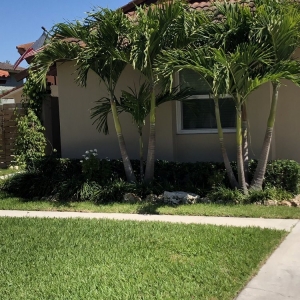 Photo of Evergreen Sprinkler Systems