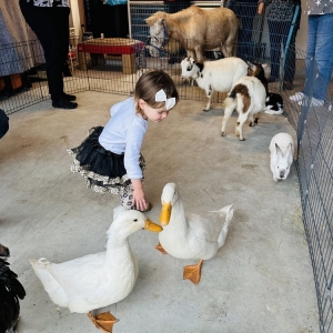 Photo of Giddy Up Pony Parties and Petting Zoos