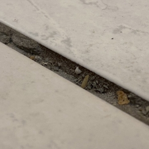 Photo of Korfhage Floor Covering