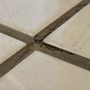 Photo of Korfhage Floor Covering