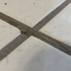 Photo of Korfhage Floor Covering