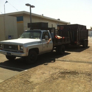 Photo of Silverback Hauling