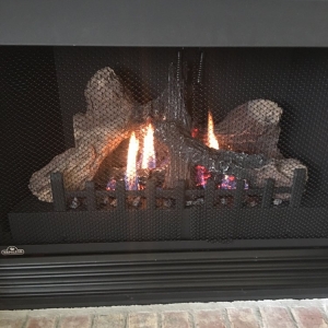 Photo of Coastal Chimney & Contracting