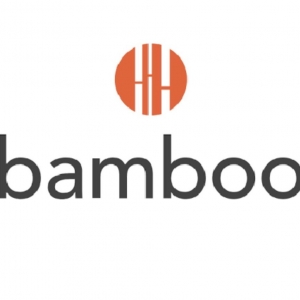 Photo of Bamboo Insurance