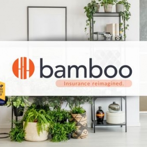 Photo of Bamboo Insurance