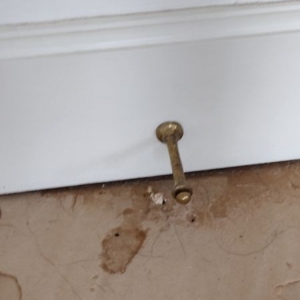 Photo of All season cleaning service