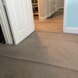 Photo of The Carpet Doctor