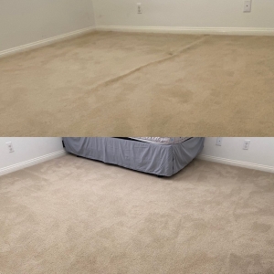 Photo of The Carpet Doctor