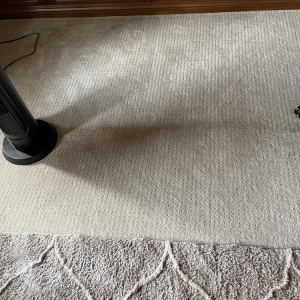 Photo of The Carpet Doctor