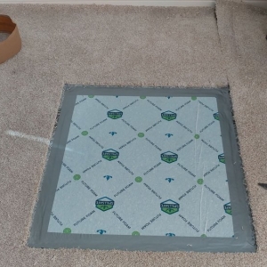 Photo of The Carpet Doctor