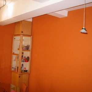 Photo of Action Painting & Restorations