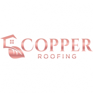 Photo of Copper Roofing