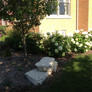 Photo of Rosario Gambino & Son Landscaping